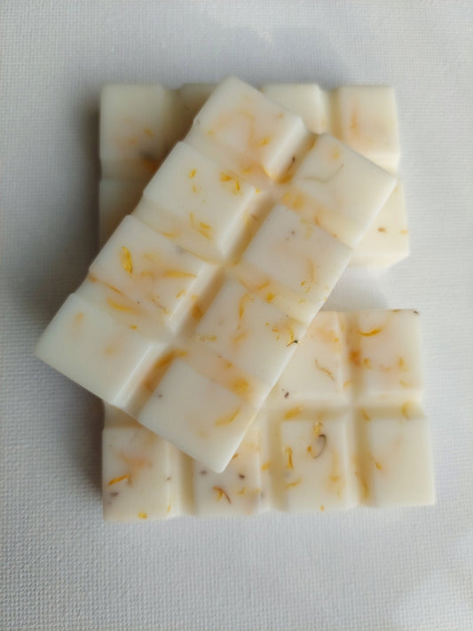 Botanical Soy Wax Melts bars Set of 2 pcs - scent Orange and cinnamon 